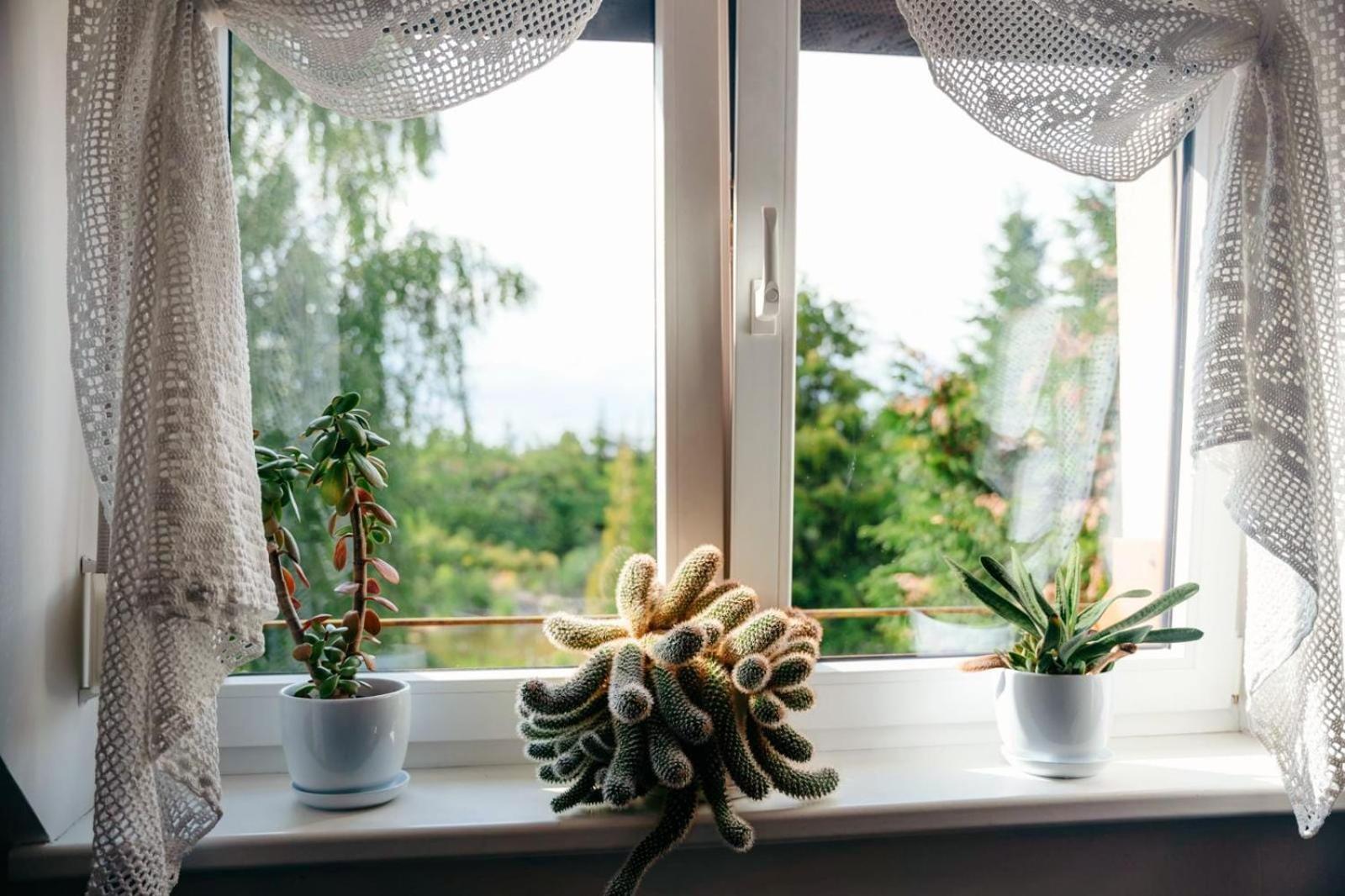 Zielona Parcela Pisz Dış mekan fotoğraf